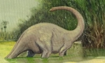 Каде што научниците бараат mokele mbemebe?
