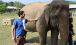 Како скроти азиски слон