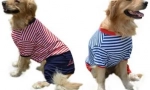 Куче облека на aliexpress - избор на до 1000 рубли