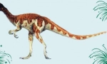 Oviraptor