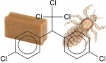 Примена на сапун за греење од вошки