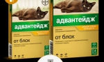 Примена на предност на лекот (advanda) за мачки