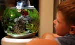Одгледување аквариум риба