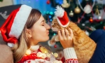 Среќна нова година, мачка! 14 новогодишни идеи за подароци за мачки