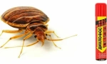 Видови на дихлорофос и обработка на нив од bedbugs и други инсекти