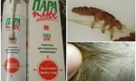 Видови и примена на средствата пареа плус од вошки
