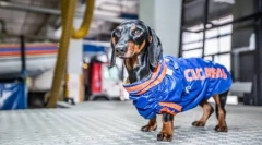 4 Познати даноци кои им помагаат на луѓето