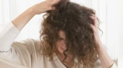 Инспекциски алгоритам за педикули и настани при идентификување