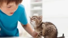 Болви на човекот