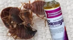 Блокада antiklop и нарачка за апликација