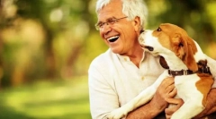 Кучињата опасни за човекот