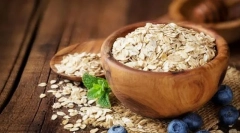 Брзо bunting за кучиња