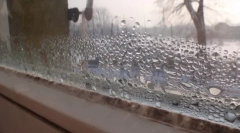 Домаќинство и народни лекови за уништување на мувла