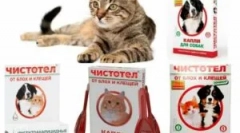 Прослави од болви и крлежи за мачки и кучиња