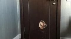 Кои кучиња прават кога сопствениците не се дома: топ 10 чудни класи