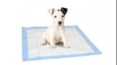 Она што е подобро за кучињата - послужавник или пилери