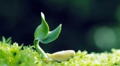 Што е потребно за одржување на животот?