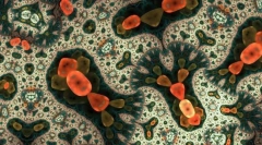 Кои се наједноставните?