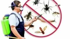 Што е дезинсекција, видови и ред