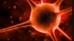 Што е криптоспоридија и кои се методите на неговиот третман?