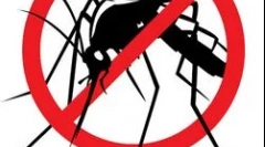 Што е маларија