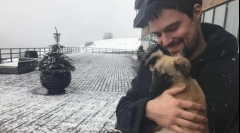 Данил козловски: сонував за лабрадор - засолнил порони