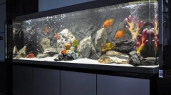 Украсување аквариум