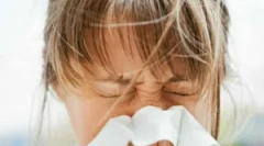 Дерматофаге peric или прашина