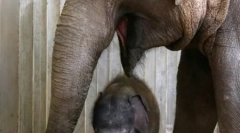 Бебе, опкружено со грижа за мајчинството и љубовта (23 фотографии)