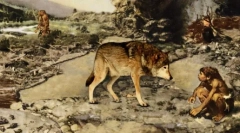 Диви предци на домашни кучиња: поглед на карпи слични на волците