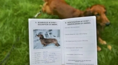 Документи на кученце