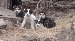 Порто-- не е реченица!