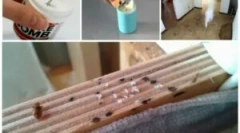 Оџаци од bedbugs