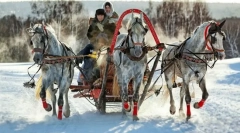 Возење во темперамент