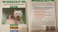 Febtrel: лек кој ќе спаси мачка од црви