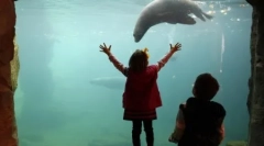 Слики од животни од нашата планета