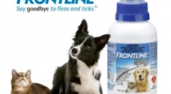 Frontline for cats: инструкции за употреба