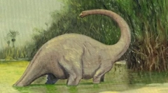 Каде што научниците бараат mokele mbemebe?