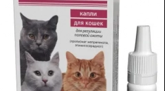 Гестерол за мачки: случаи на назначување и препораки за употреба