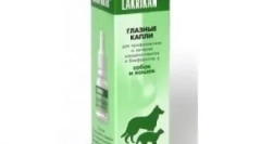 Капки за очи за мачки