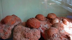 Диносаурус гнездо