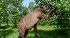 Халикотерија