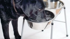 Хронична бубрежна болест