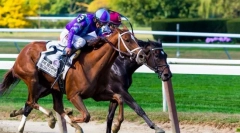 Игри со учество на коњи