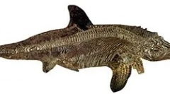 Ichthithosaur