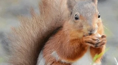 Интересни факти за протеините