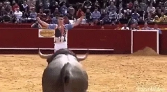 Интересни факти за бикови