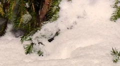 Интересни факти за љубовта