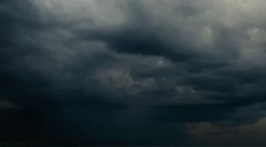 Интересни факти за патент