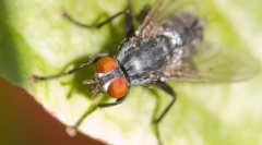 Интересни факти за муви